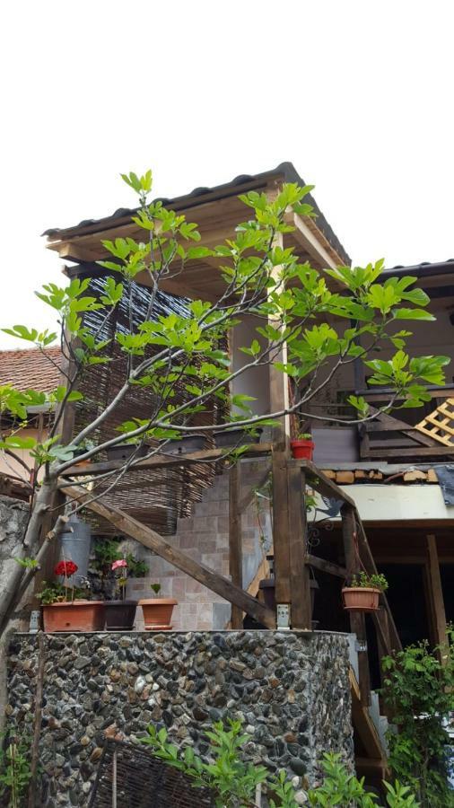 Casa De Oaspeti Dunarea La Cazane 두보바 외부 사진